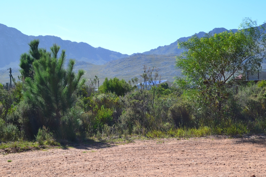 0 Bedroom Property for Sale in Pringle Bay Western Cape